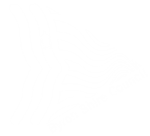 Byron Shire Council